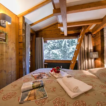 Amethystes A14 Ski-in Ski-out - Happy Apartment Chamonix