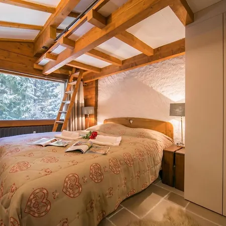 Apartment Amethystes A14 Ski-in Ski-out - Happy